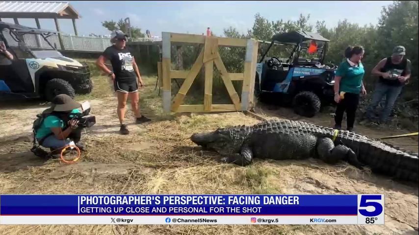 Photographer's Perspective: Facing danger