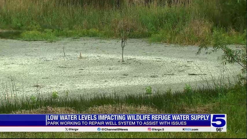 Ponds at state park in Weslaco drying up due to low water levels