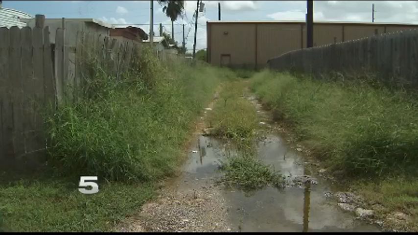 Cameron Co. Health Officials Confirm First Locally Transmitted Case of Zika 