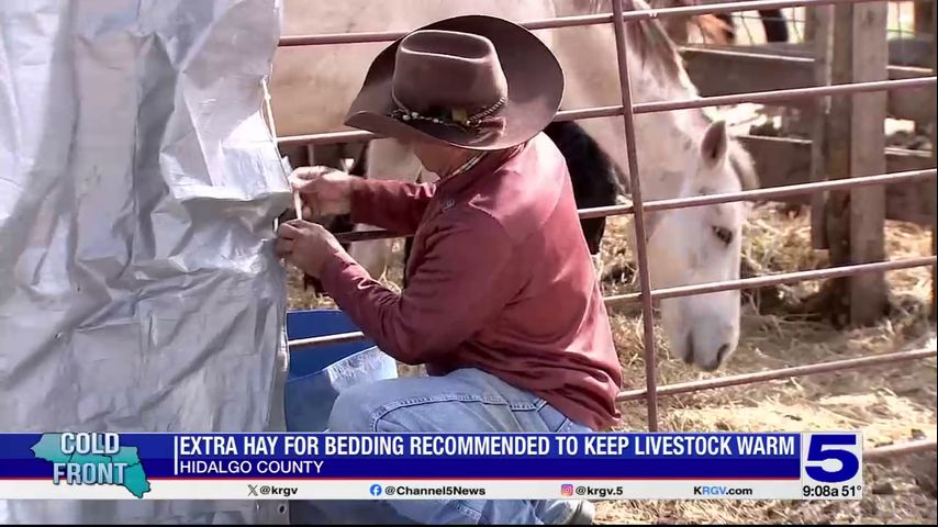 ‘Hidalgo County Cowboy’ offers tips on keeping livestock warm during cold front