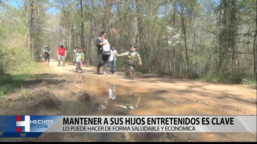 Salud y Vida: Actividades de verano para mantener a sus hijos entretenidos