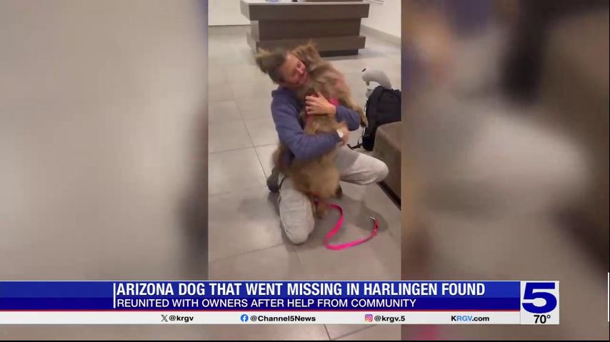 Arizona dog that went missing in Harlingen reunited with family