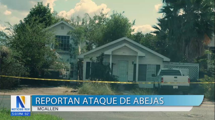 Reportan ataque de abejas en McAllen