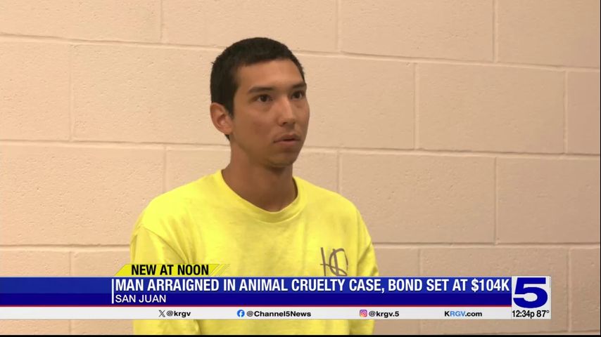 Suspect in San Juan animal cruelty investigation arraigned