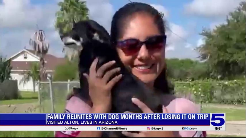 Arizona family reunites with dog that went missing in Alton