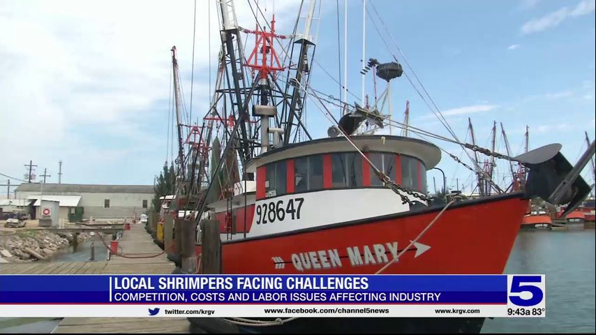 Port Isabel issues disaster declaration on shrimping industry