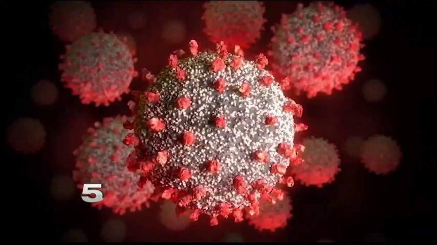 Hidalgo County reports 329 new coronavirus cases and 18 more deaths, including a female in her 20's