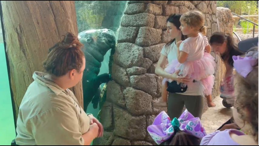 BRECs Zoo celebrates 53rd birthday with opening of a new exhibit