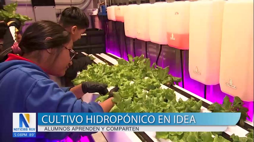 Estudiantes de IDEA asisten a evento de cultivo hidropónico