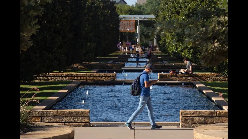 University of Texas System pauses new diversity, equity and inclusion policies