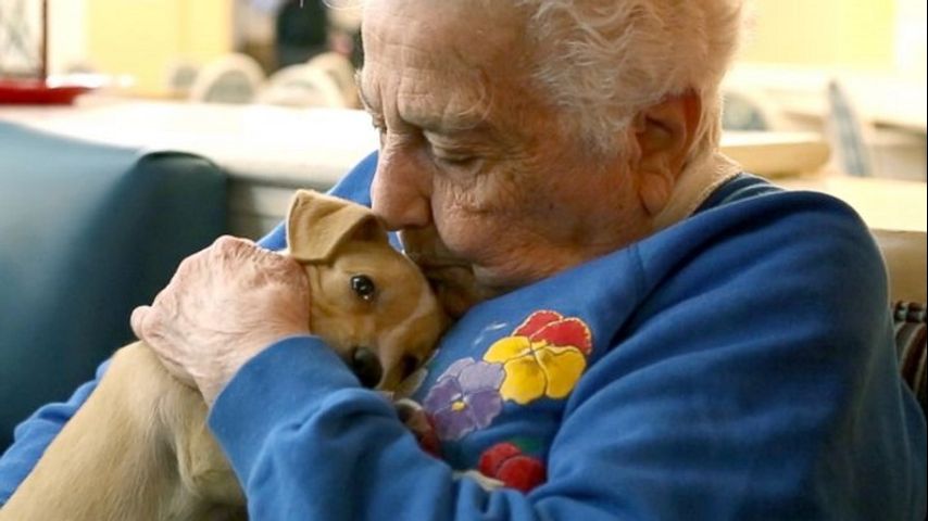 Therapy dog best sale visits for seniors