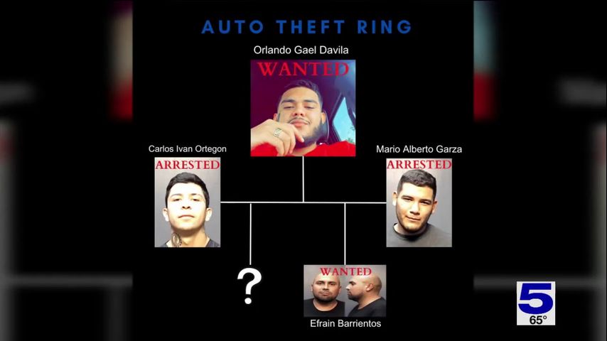 Suspected ring leader in Brownsville auto theft ring identified