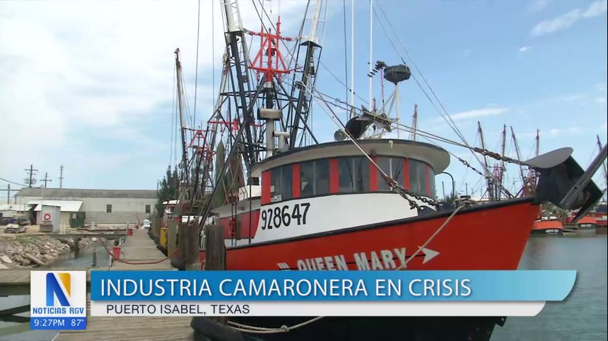 Industria camaronera de Puerto Isabel se encuentra en crisis