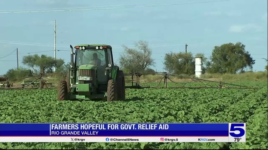 Rio Grande Valley farmers hopeful for government relief aid