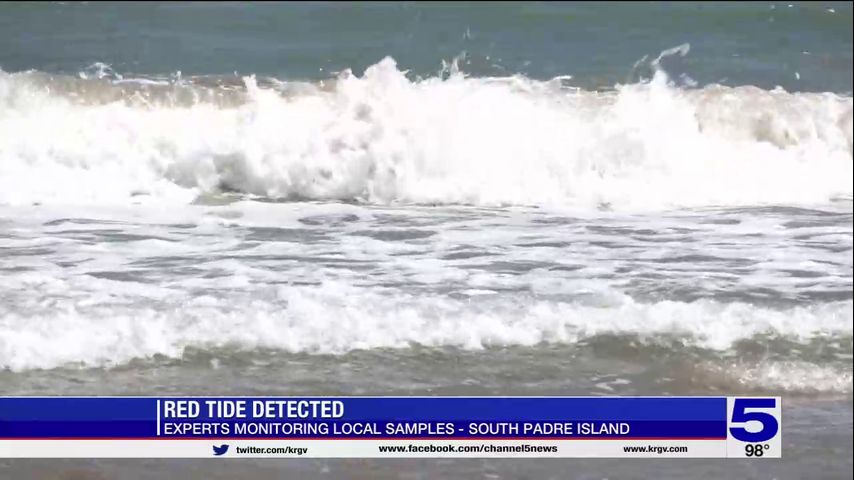 Red tide bloom briefly detected at South Padre Island