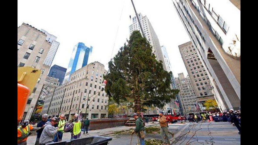 Sprucing up NYC: Rockefeller Center lights Christmas tree