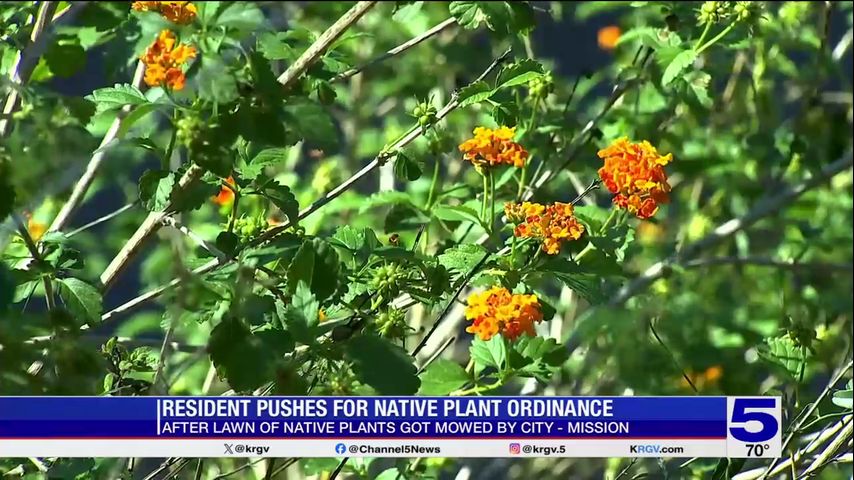 Mission botanist advocating for new ordinance to protect native plants