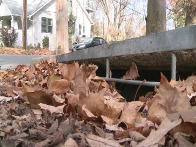 Leaves Causing Problems for Storm Water Drains