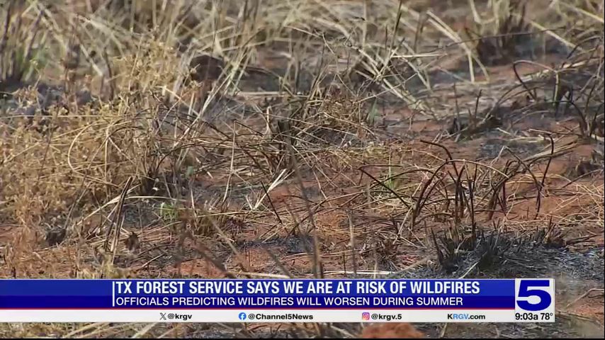 Texas A&M Forest Service warns of risk of wildfires in the Valley