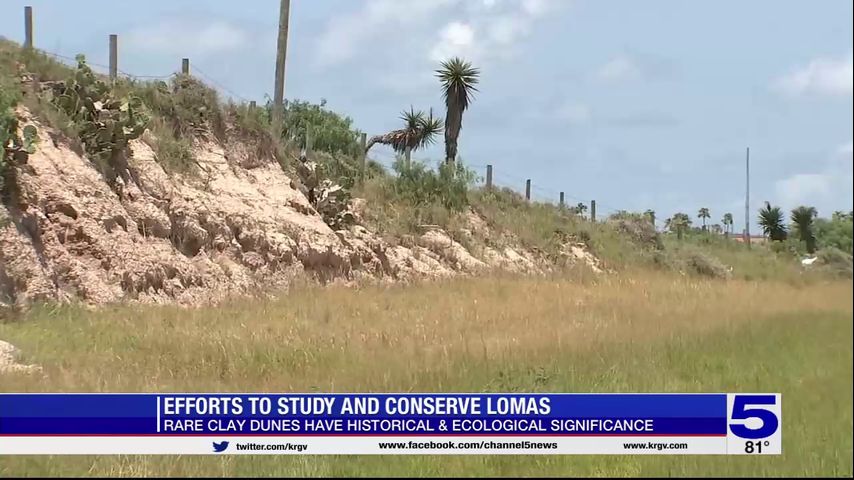 'They're rapidly being degraded:' Coastal Loma study begins amid development concerns