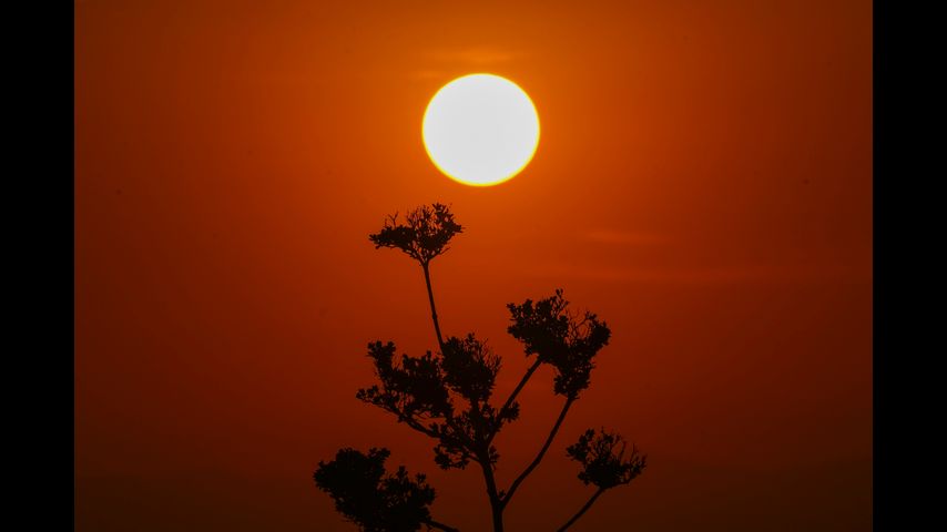 'Heat dome' leads to sweltering temperatures in Mexico, Central America and US South