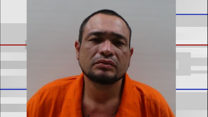 Brownsville man arrested on charges of elderly abuse, evading arrest