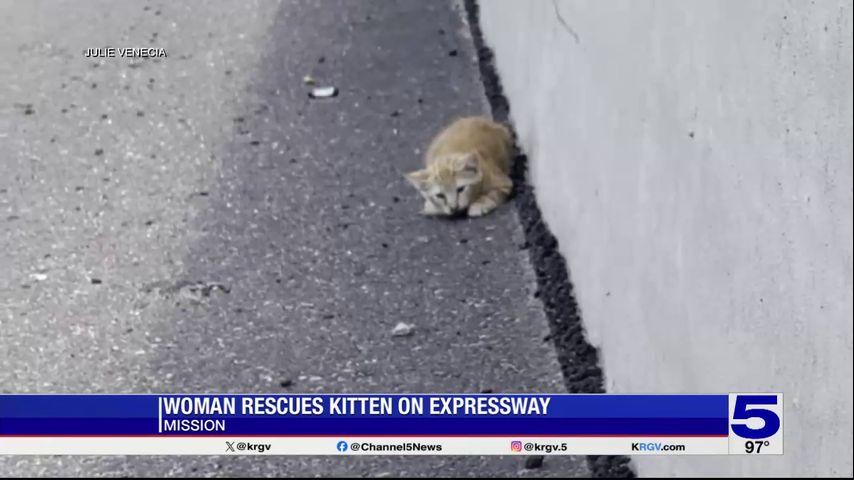 Woman rescues kitten on Expressway 83 in Mission