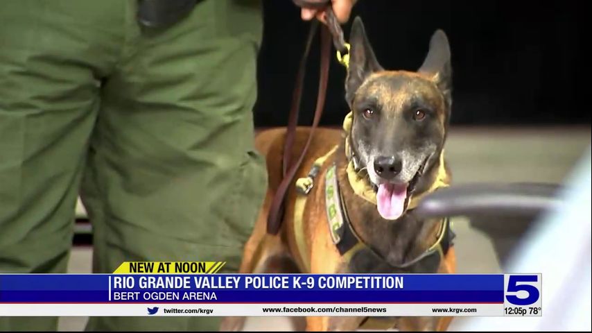 Bert Ogden Arena holding Valley's first ever competition for K-9 officers