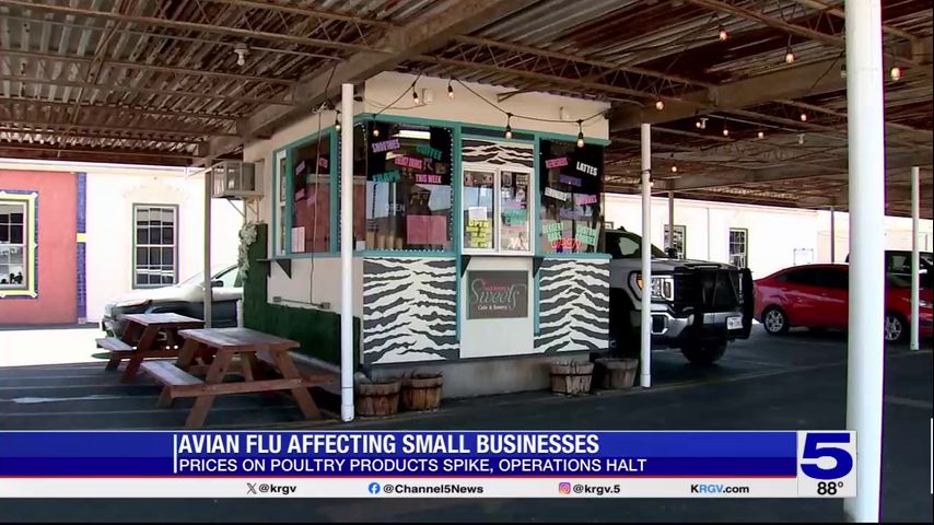 Bird flu outbreak causing price increase in poultry products for Weslaco small business