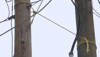 Despite efforts, leaning utility pole secured by rope until company moves cable