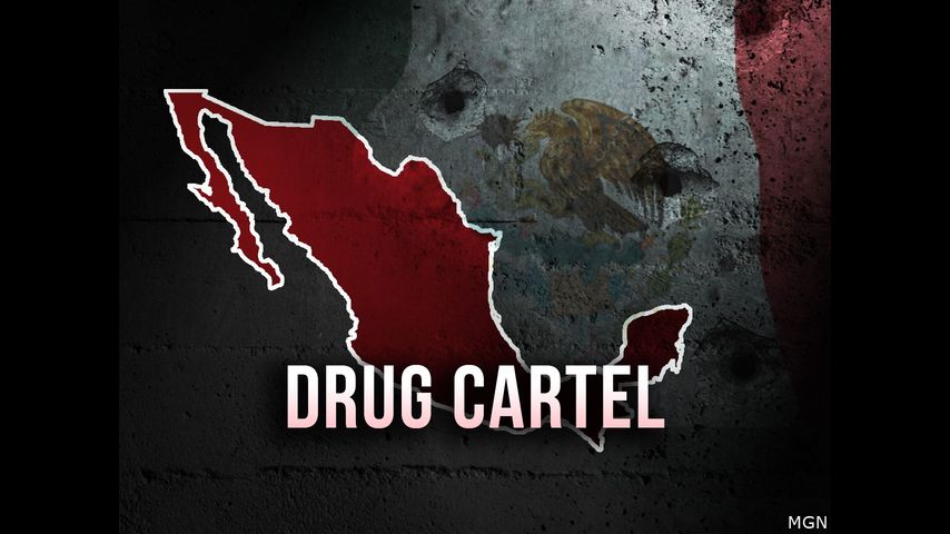 Mexico arrests wife of Jalisco New Generation cartel leader