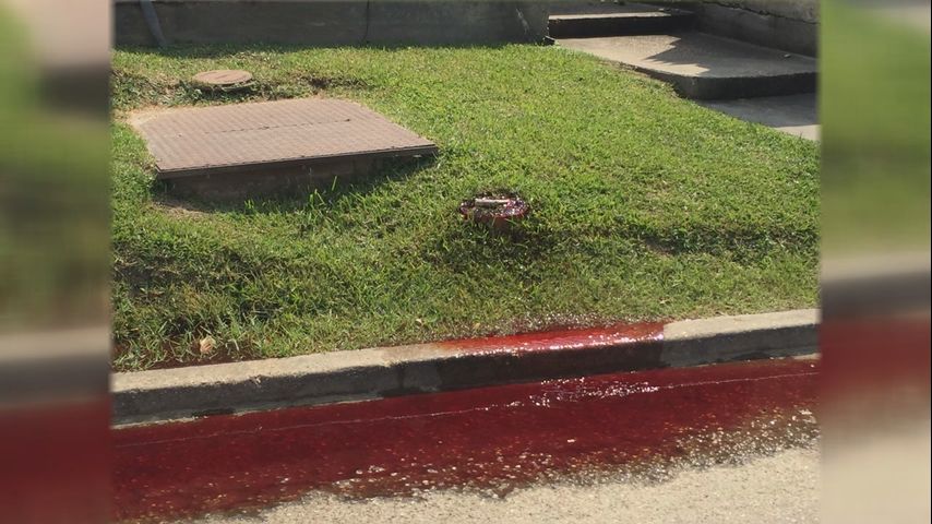 Photo shows blood leaking from ground behind Baton Rouge funeral home