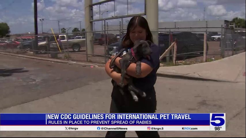 Valley residents must follow new CDC guidelines when traveling with dogs