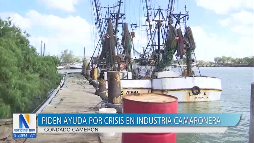 Empresarios camaroneros del condado Cameron piden ayuda por crisis de importación