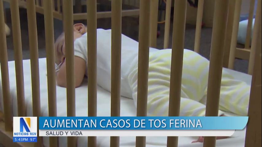 Salud y Vida: Aumentan casos de tos ferina