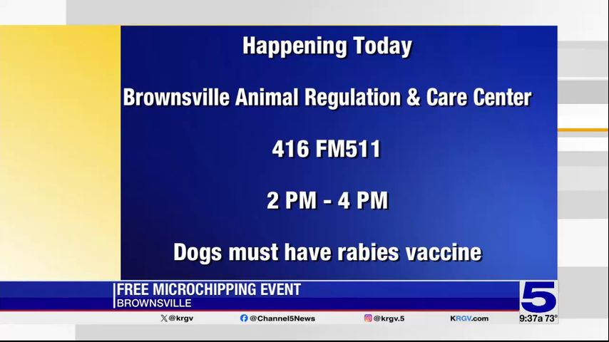 Brownsville animal shelter to hold microchipping event