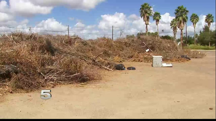 Brush pile left over from Hurricane Hanna leaves Monte Alto residents concerned