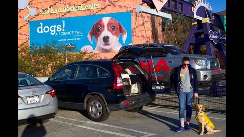 California science exhibit explains the dog-human friendship