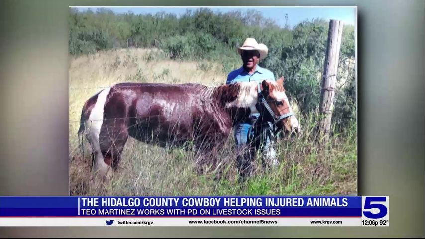 Mercedes rancher earns ‘Hidalgo County Cowboy’ title