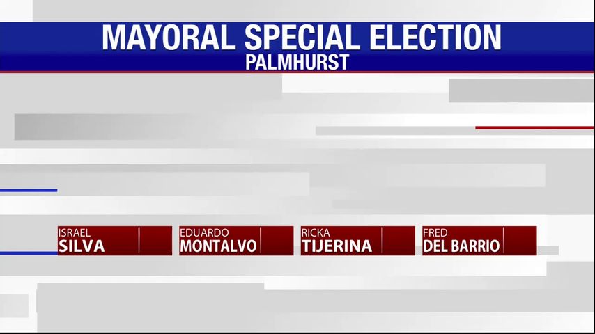 Early voting for Palmhurst special mayoral election begins Monday