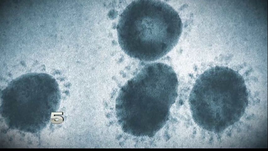 10 more Willacy County residents test positive for coronavirus, bringing total to 217