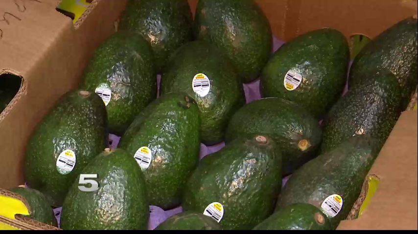 Local Business Finds Alternative for Imported Avocados