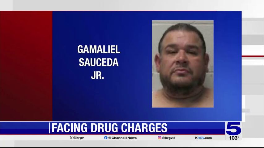 Police: Search warrant reveals drugs, weapons in Harlingen home, one man arrested