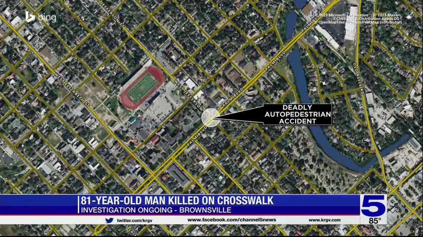 Brownsville police investigating fatal auto-pedestrian crash