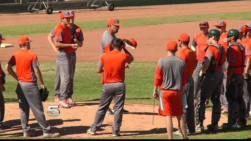 Play Ball in Edinburg!