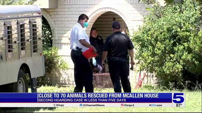 One person in custody following animal hoarding investigation in McAllen