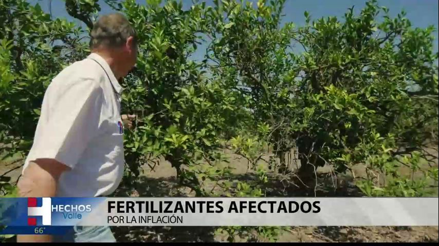 El aumento de los precios de los fertilizantes afecta a los agricultores del Valle