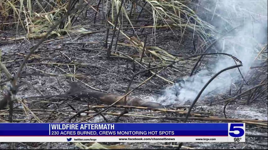 Fire at Santa Ana National Wildlife Refuge contained