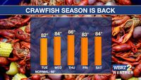 Crawfish season is back and temperatures are STEAMY