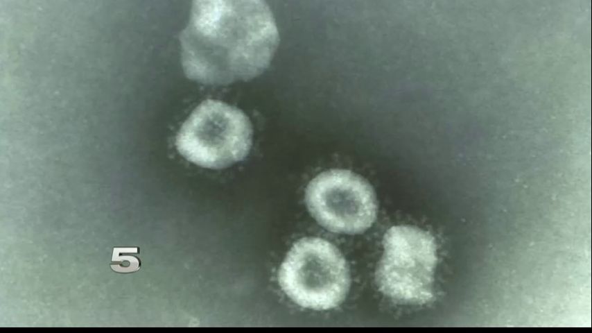 Cameron County surpasses 700 confirmed coronavirus cases